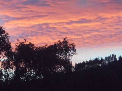 looking through the window a few minutes ago