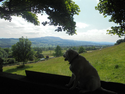 View from  the Shawl Leyburn
