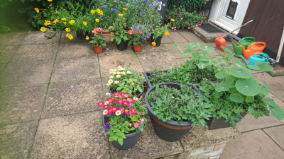 The patio pots!!
