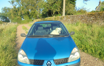 Nice colour the BB Clio<br />The shadowy Sandeman Port Man gets in the photo again!