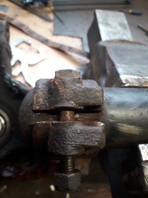 Strut bolt