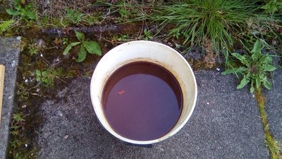 IMG_20170810_203611.jpg