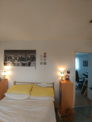1633341801374.jpg