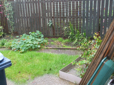 DSCF3411.JPG