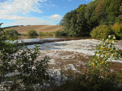 River of Brown Ale