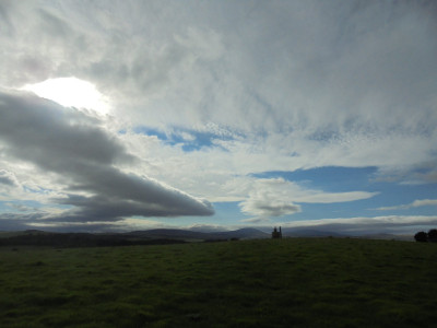 in this Northumberland field