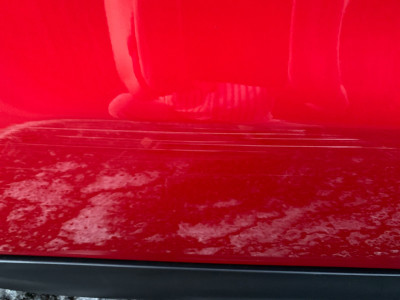 Rear Door C.jpg