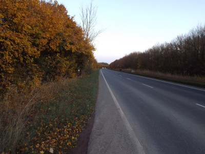 Coppery avenue 2.