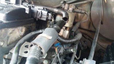 20170826_145749.jpg