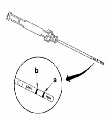 XM Oil B.PNG