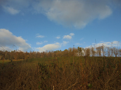 Blue Skies and slightly fluffy white clouds at the second this picture was taken