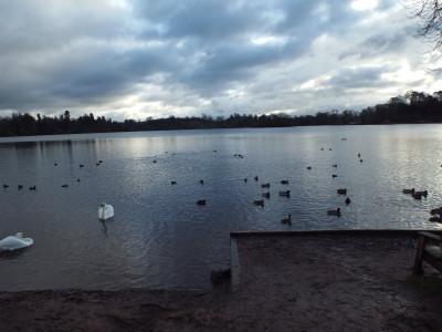 The Mere at Ellesmere