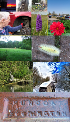 So we have<br />Steve's Sunset, My wrinkles and fungus, Citro Jim's daffs and bike,  Zel's Spot TPA in the car park, Peter's broken spring, My orchid, Mick's Dahlia, my Haystack, Gibbo's creepy crawlie,  James' Heron, my Bob Ross cabin, and my brick.