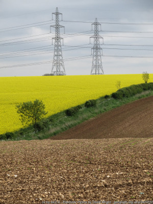 geograph stamped image<br />cc-by-sa/2.0 - © David Wright - geograph.org.uk/p/3470722