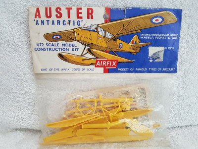 Auster