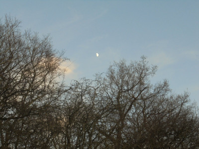 DSC01058.JPG