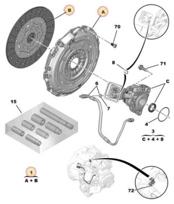 Orchid Clutch Kit.JPG