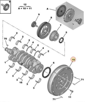 Orchid Flywheel.JPG