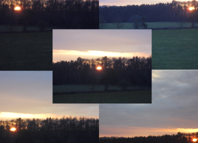 The setting sun shining through the woods, 5 different views