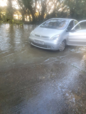 Noahs ark ......