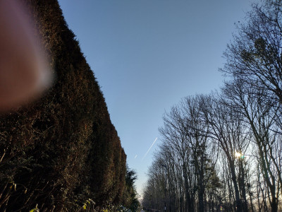 IMG_20220117_103823650_HDR.jpg