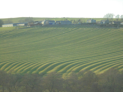 Furrow and Ridge