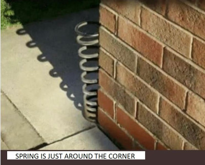 Capture.JPG
