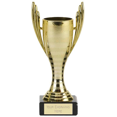 0017046_mercury-cup-trophy.jpeg