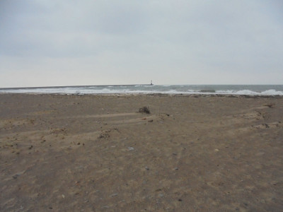 DSC01306.JPG