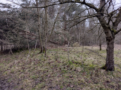 IMG_20220303_165407090_HDR.jpg