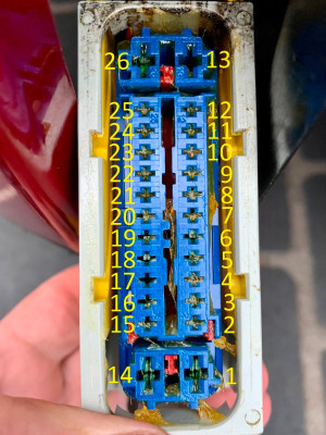 file (2).jpg
