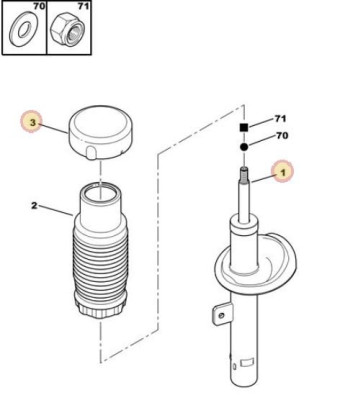 husk front Strut.JPG