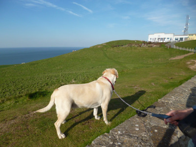 Top of the Orme Llandudno 2016