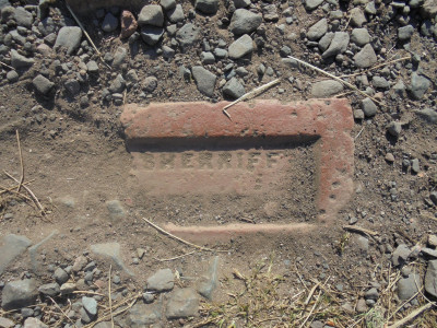 Eyemouth Seaside Brick