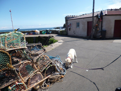 St Abbs