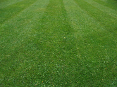 stripey spring lawns