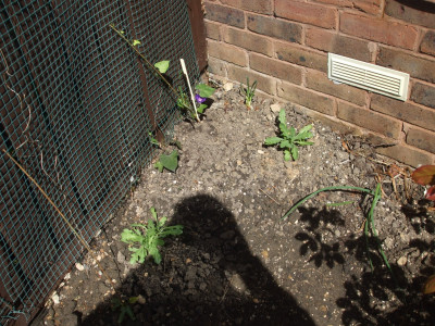 DSCF3525.JPG