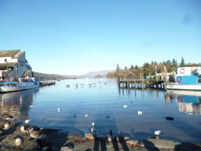 Squadron of geese arriving at Bowness Pier