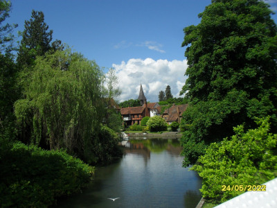 Pangbourne from the river