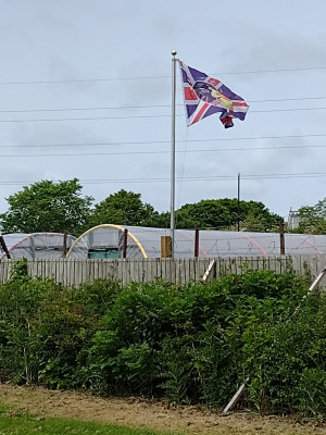 Flag