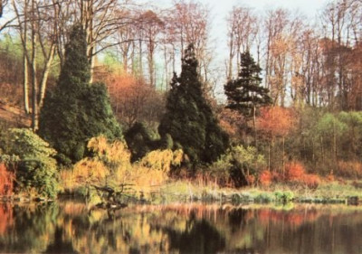 lower-pond-bird-sanctuary