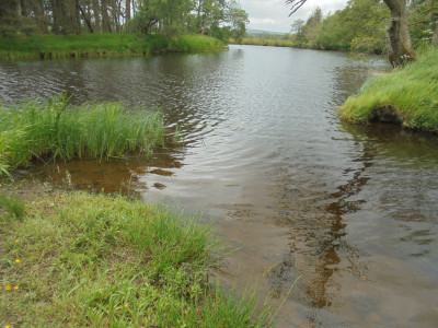 Waters Meet The River Rede and  Otter Burn just along from Otterburn Mill