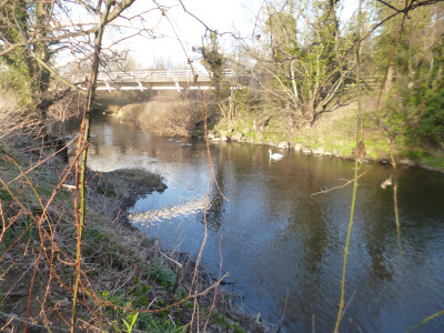 River Aln near Lesbury Bridge