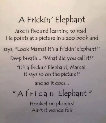 elephant.jpg