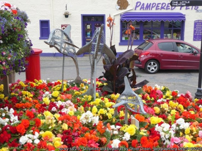 Dolphins and Begonias Nairn