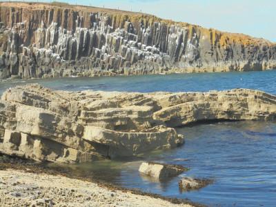 Vertical and horizontal and a Kittiwake colony