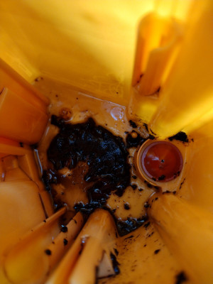 This was under the plastic gauze, more "coffee grounds"
