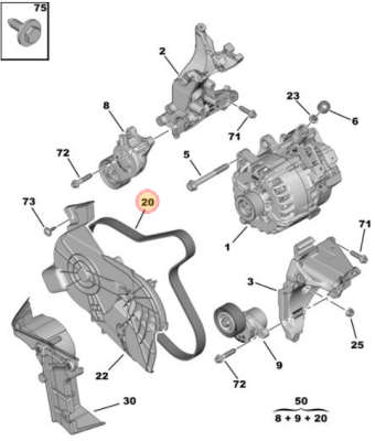 zayne alternator belt.PNG