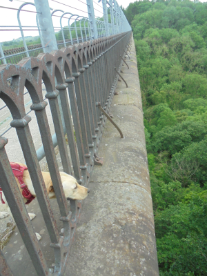 Hownes gill Viaduct<br />Stanhope and Tyne Railway nr Consett<br />Now part of the C2C Cycle Route