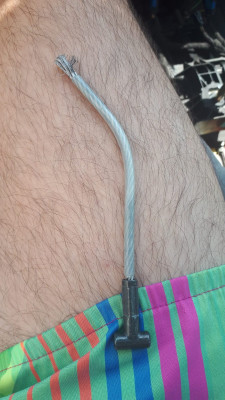 1.jpeg